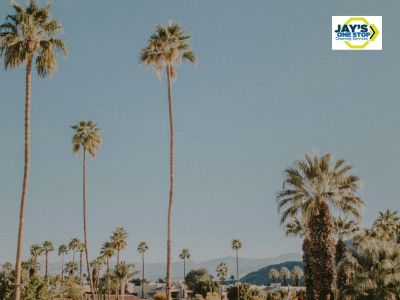 outdoor in palm desert, california